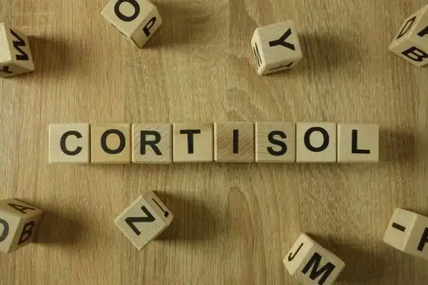 Image saying "Cortisol" and how stress Wentworth impacts your wellbeing and bodies shape